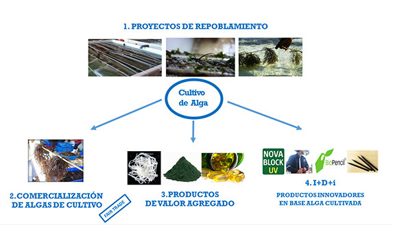 La empresa